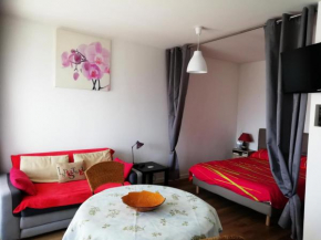 Résidence Le Chateau Durieux 1 - Agréable studio au coeur des commerces ! MAE-4104 Aix-Les-Bains